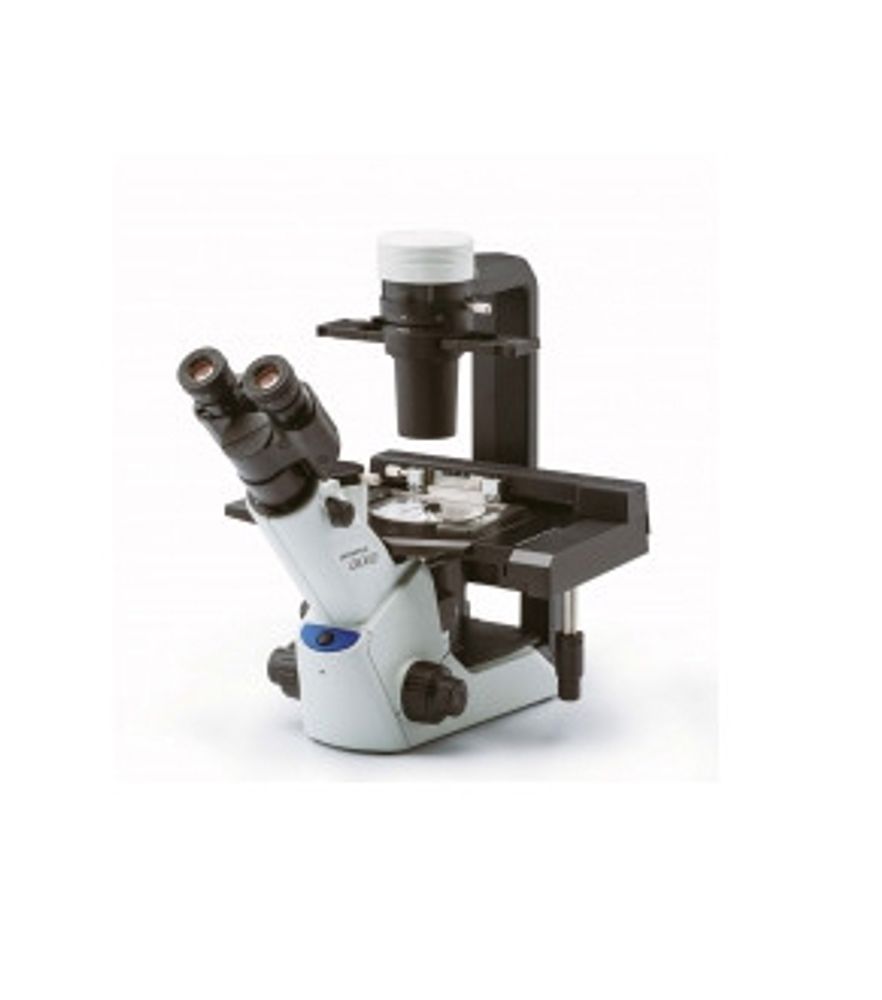 Микроскоп медицинский инвертированный CKX53 для лабораторных исследований