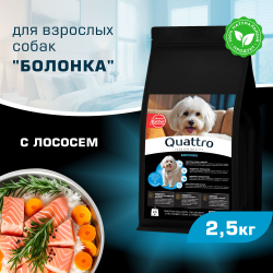 Корм сухой для взрослых собак породы Болонка, с лососем, 2,5 кг, QUATTRO