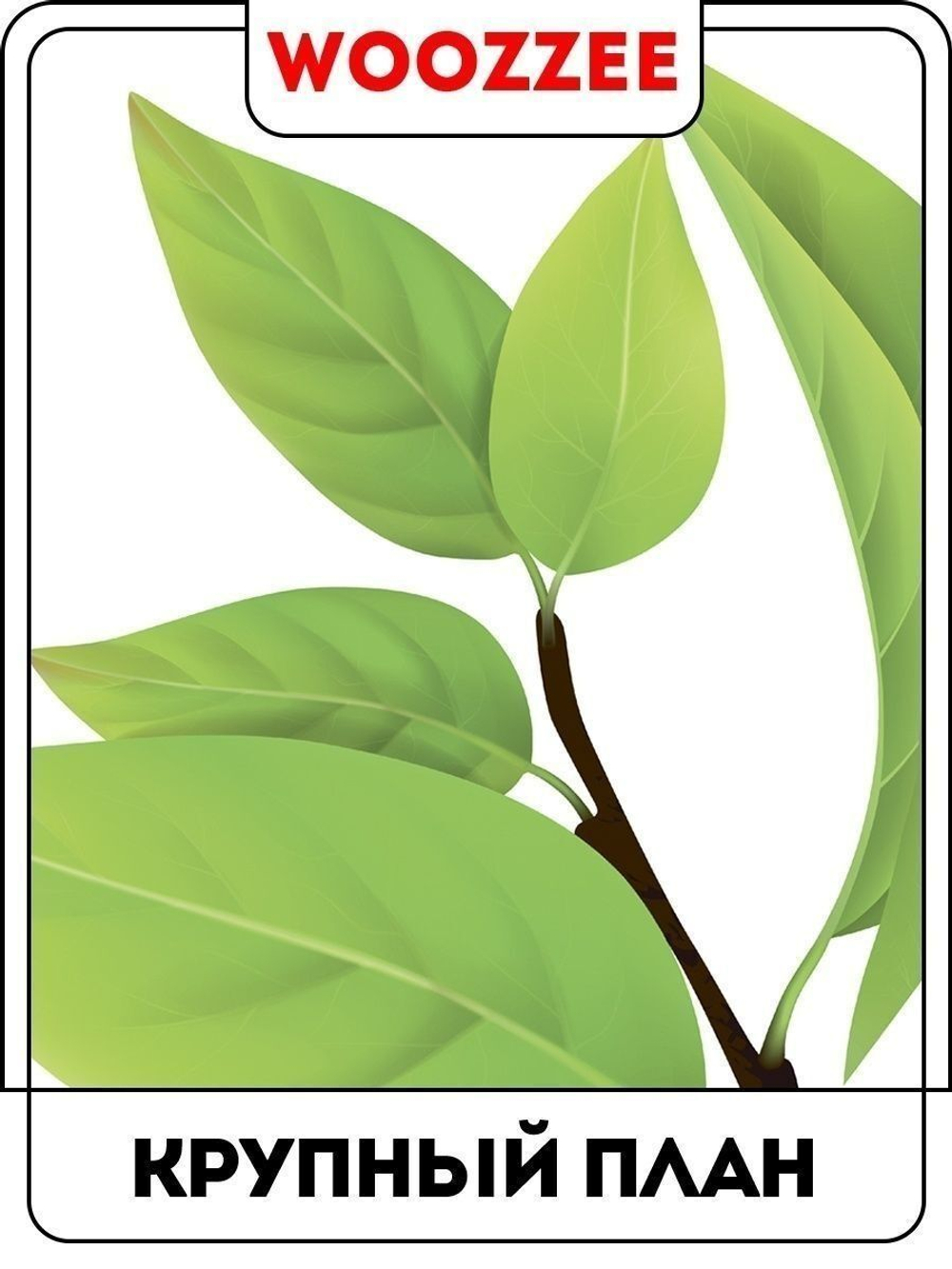 Наклейка декоративная "Зеленая ветка"