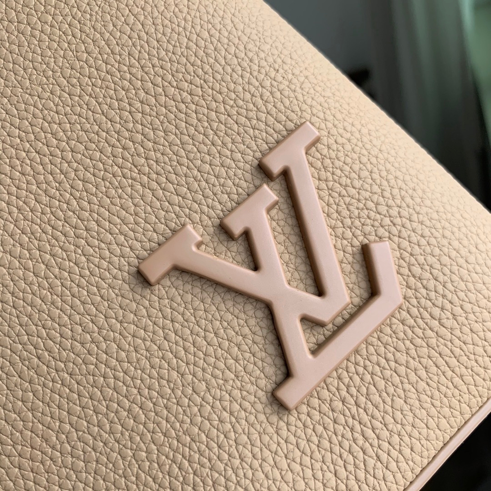 Louis Vuitton Takeoff Pouch