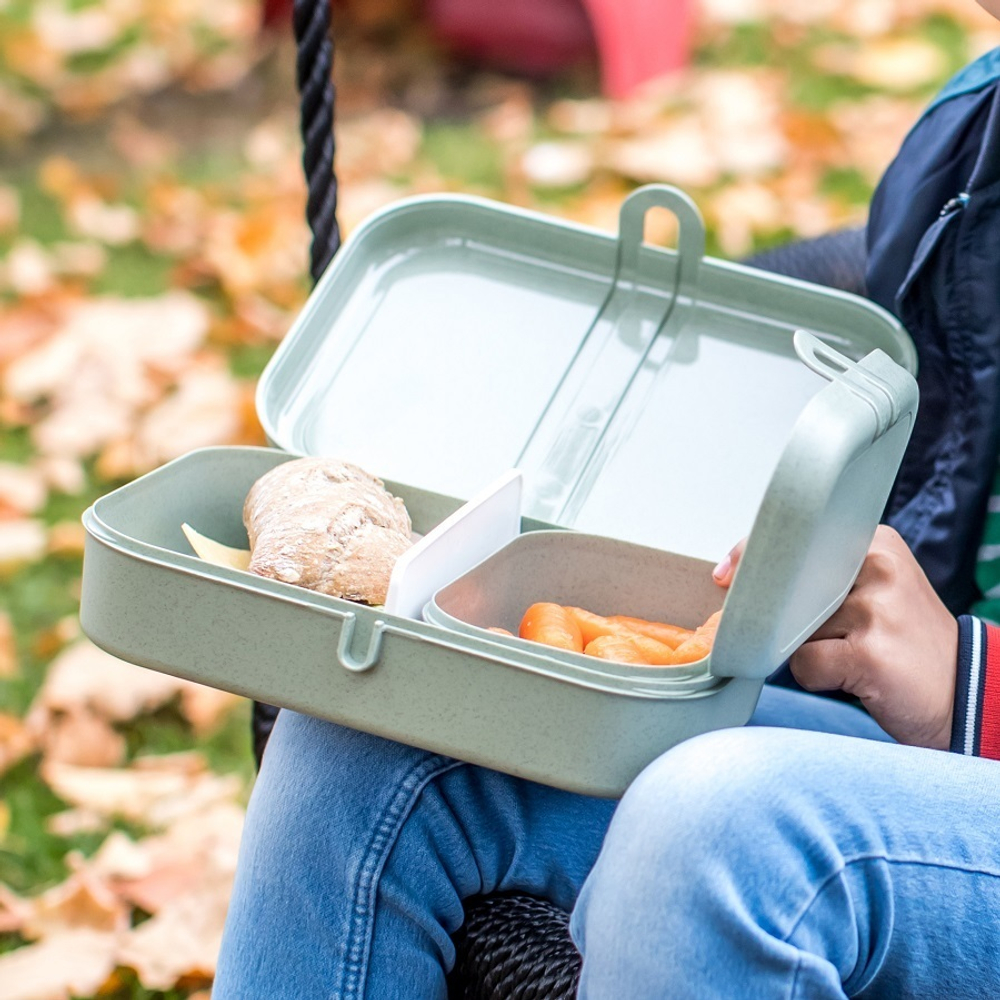 Ланч-бокс pascal, organic, 23,3х6,7х17 см, серый