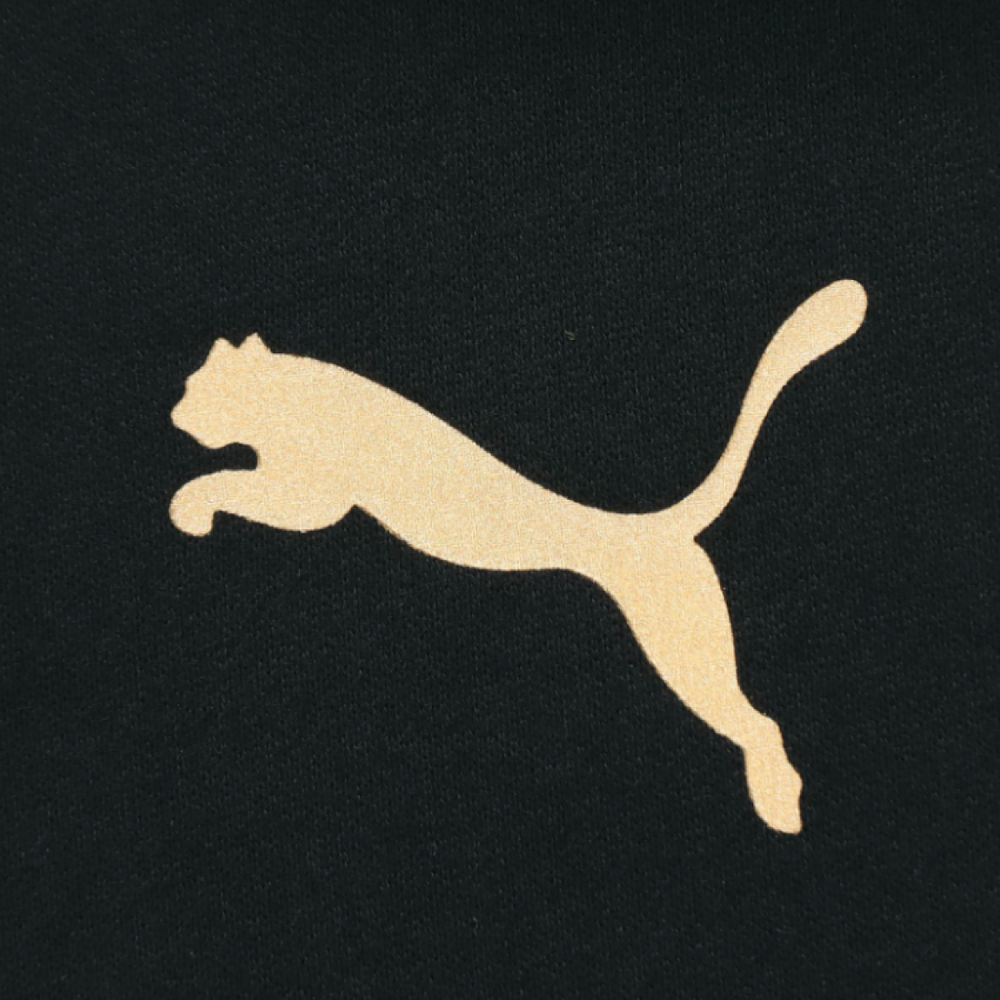 Толстовка Puma Metallic, 587139-01