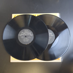 2 LP А.А. Фет : Страницы Русской Поэзии XVIII-XX вв. 2 Виниловые пластинки 12 дюймов. Мелодия СССР 1982 год.
