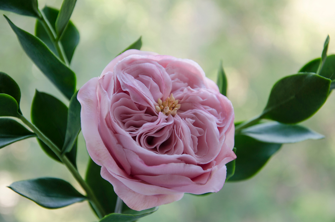 Наши инструменты в работе