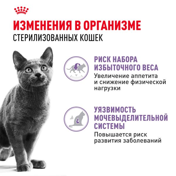 Пауч Royal Canin Sterilised для взрослых стерилизованных кошек, мелкие кусочки в желе