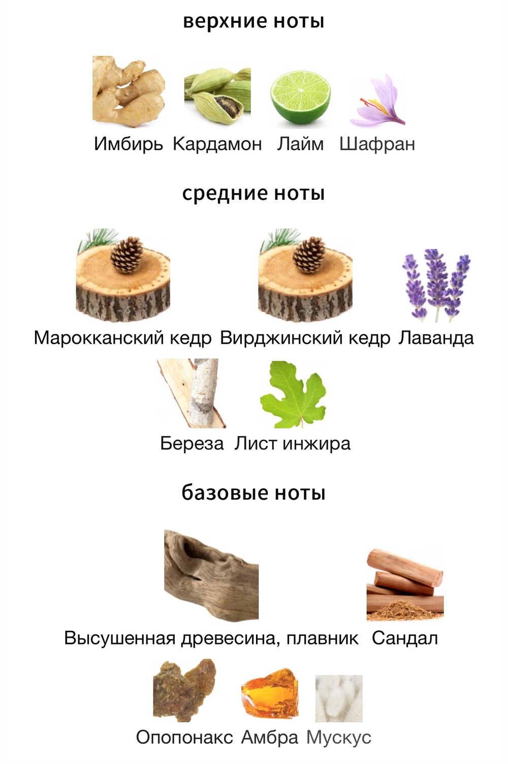 The Vagabond Prince Bass Solo