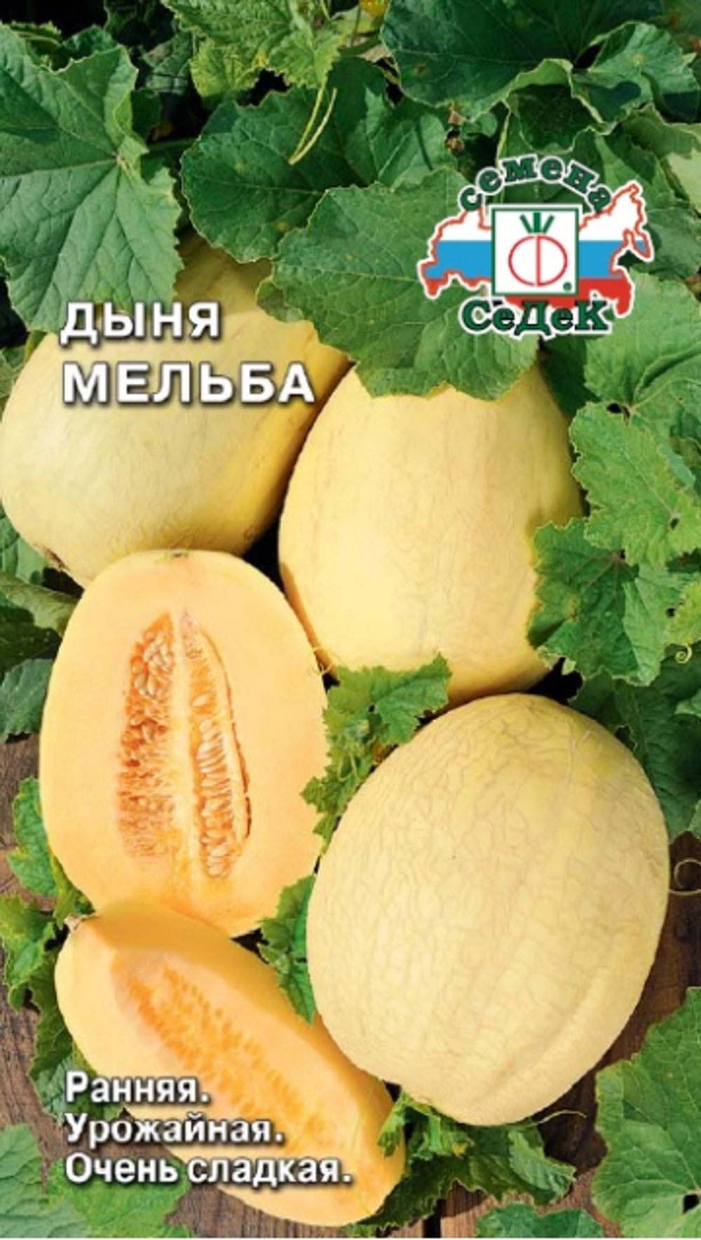 дыня Мельба