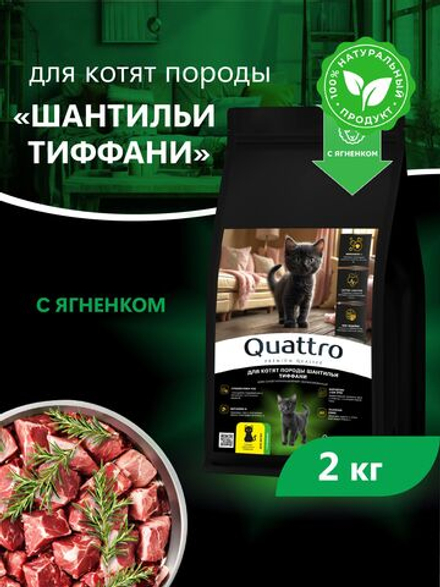 Корм сухой для котят породы Шантильи Тиффани, с ягненком, 2кг, QUATTRO