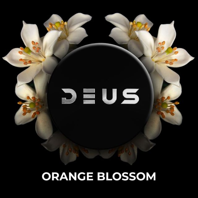 Табак DEUS - Orange Blossom 30 г
