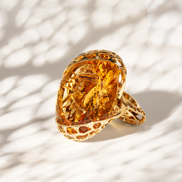 Coral Reef collection