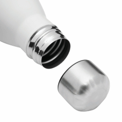 термобутылка PARKY