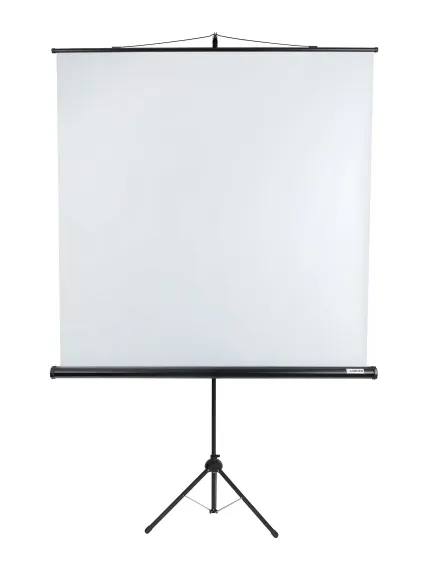 [LEV-100101] Экран на штативе Lumien Eco View