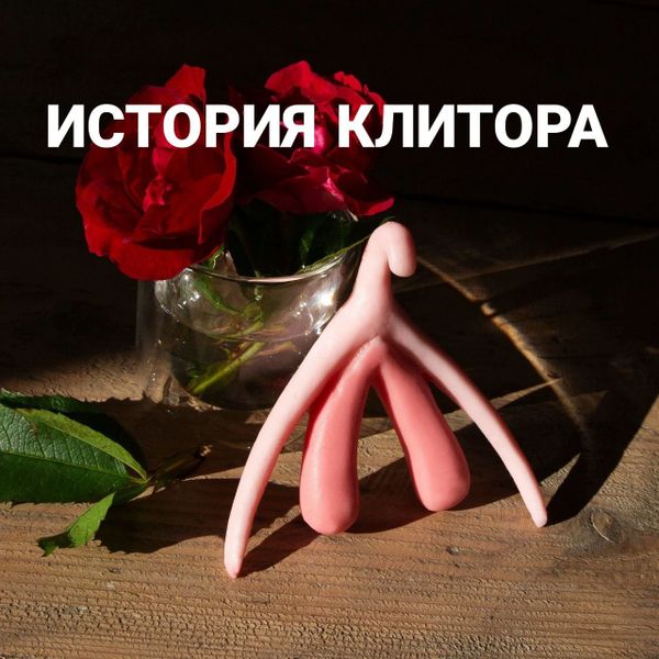 История Клитора
