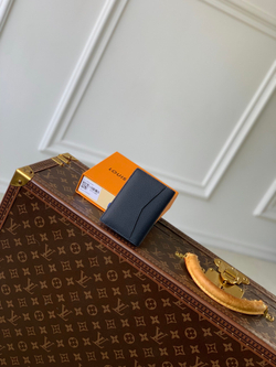 Louis Vuitton Pocket Organizer