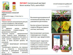 Удобрение Феровит питательный раствор хелата железа для подкормки растений 100 мл