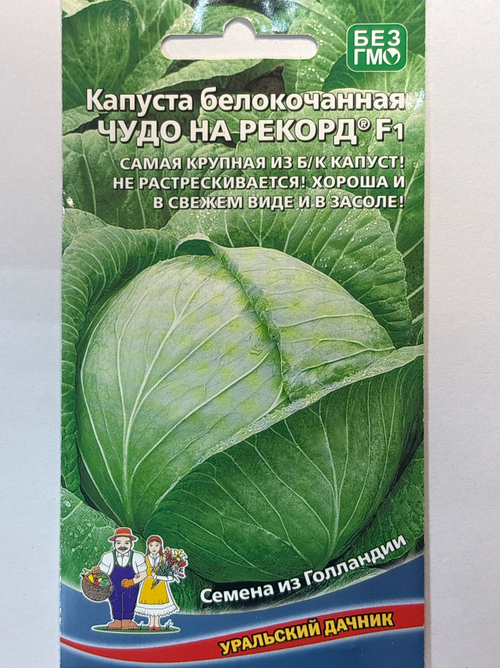 Капуста Чудо на рекорд F1 0,3 г СМК52