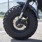 EcoMoto Lion Off-Road E1200W Back Edition