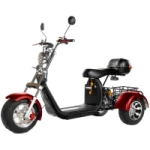 Электроскутер трехколесный CityCoco Skyboard BR-65 PRO 2000W 20AH/60V Trike