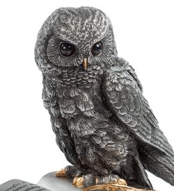 Veronese WS- 48 Шкатулка «Сова»