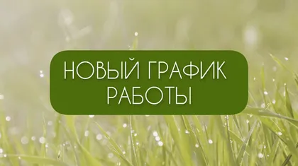 Новый график работы