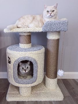 Комплекс для кошек Д-6