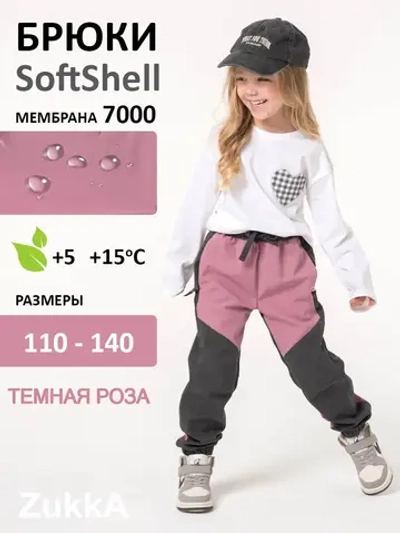 Брюки демисезонные из софтшелла