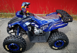 Квадроцикл MOTOLAND (МОТОЛЕНД) 125 COYOTE PRO