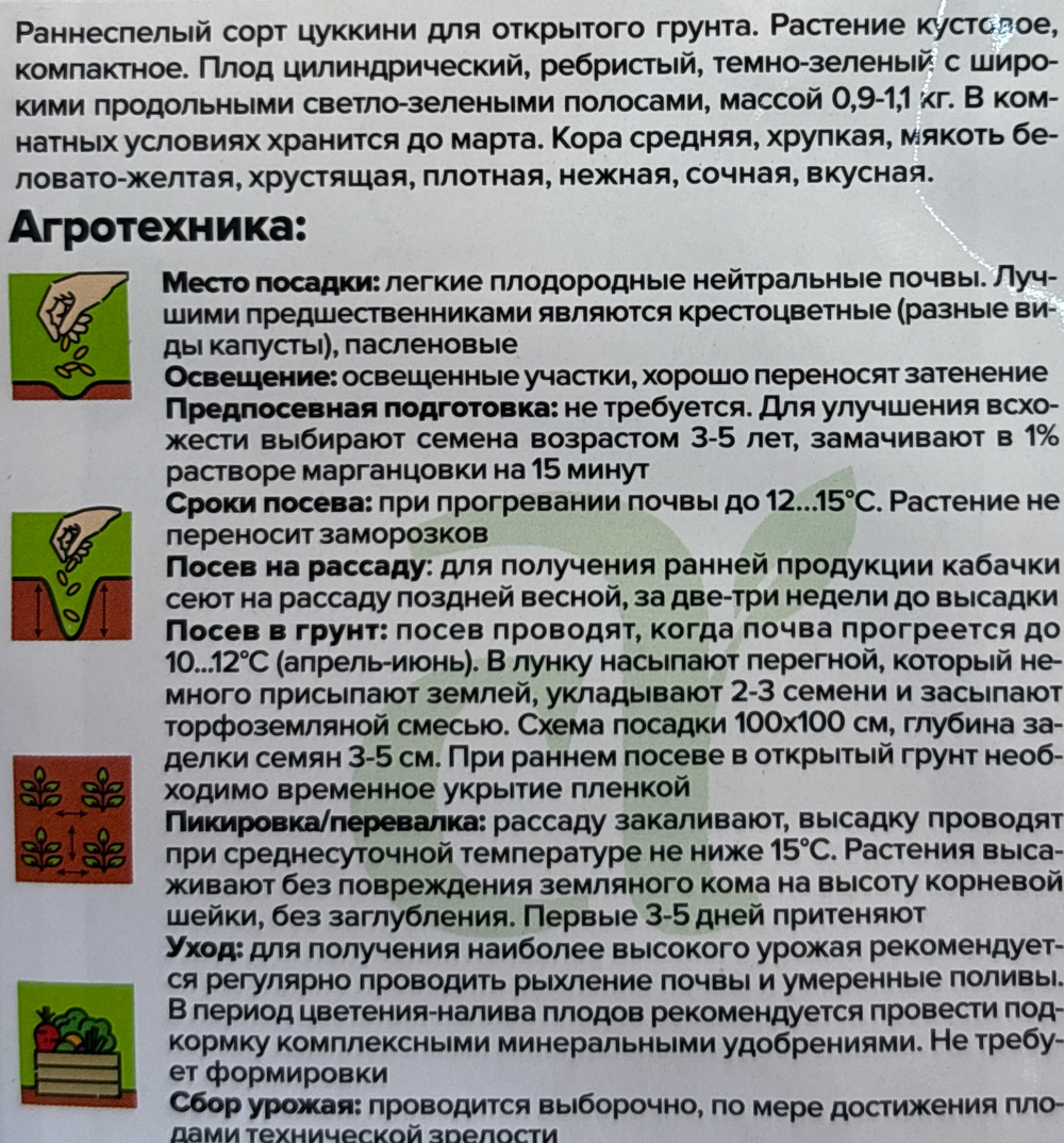 Кабачок Зебра 2 г СМКАБ-05