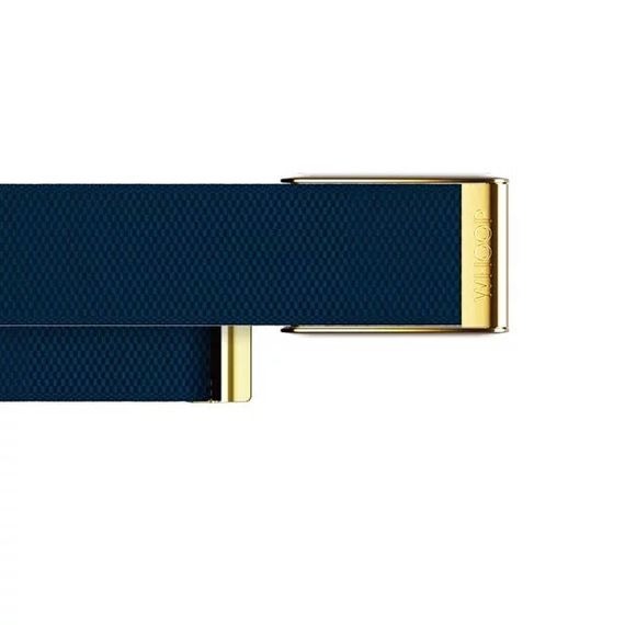 Плетеный ремешок для Whoop 4.0 SuperKnit Luxe Band​ (Niagara with Gold)
