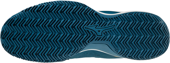 Кроссовки мужские Mizuno Wave Intense Tour 5 Clay, арт. 61GC1900-30