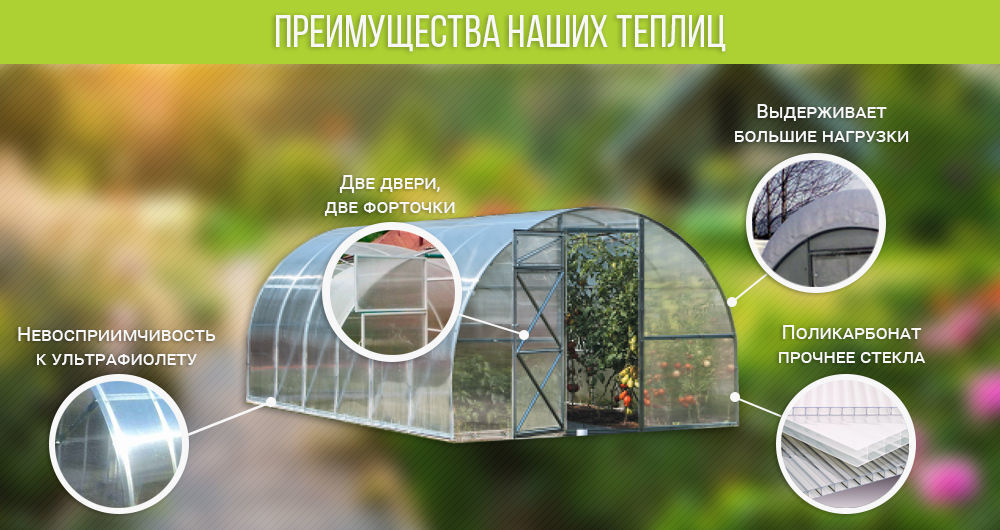 теплица из поликарбоната 3х4
