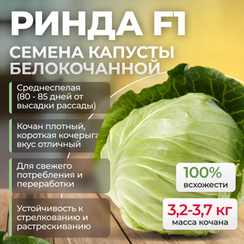 РИНДА F1 семена капусты белокочанной (Seminis | Alexagro)