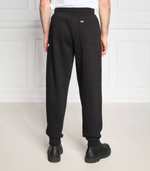 спортивные штаны college 85 Tommy Jeans - черный(DM0DM15807)