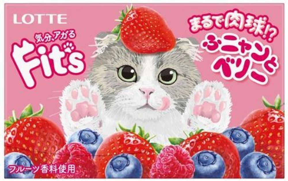 Резинка жевательная FIT`S Funny&amp;Berry ягодная, Lotte