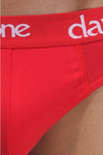 Красные мужские трусы-слипы с контрастными надписями на резинке (Размер: L) (Цвет: красный)