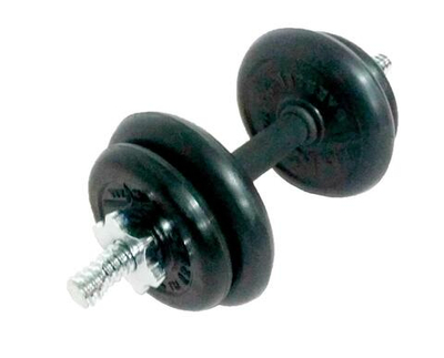 Гантель разборная 10 кг (диски по 1.5 и 2.5 кг)