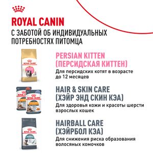 Уценка! Срок 07.2025/ Сухой корм Royal Canin Persian Adult для взрослых персидских кошек от 12 месяцев