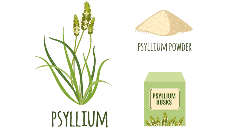 Псиллиум на главной