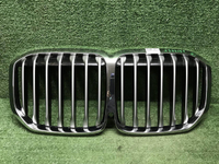 Решетка радиатора BMW X7 G07 (2019-2022)