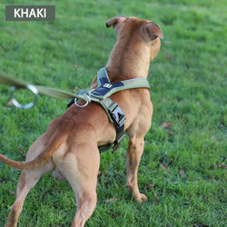 Шлейка Slip-On BullyBillows