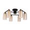 Потолочная люстра Arte Lamp Leo A7027PL-6BK