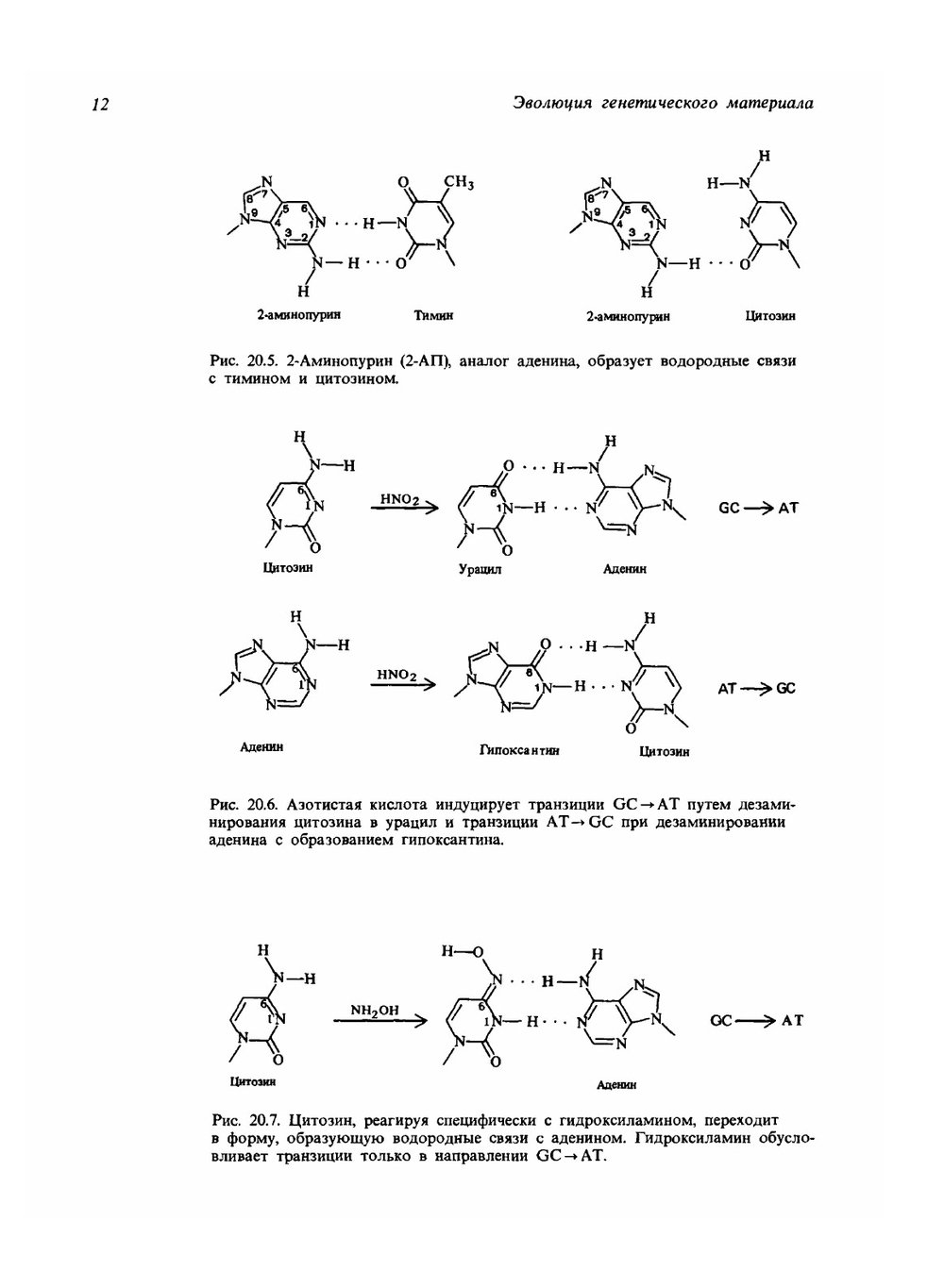 Современная генетика. Том 3 | Ф. Айала; Д. Кайгер