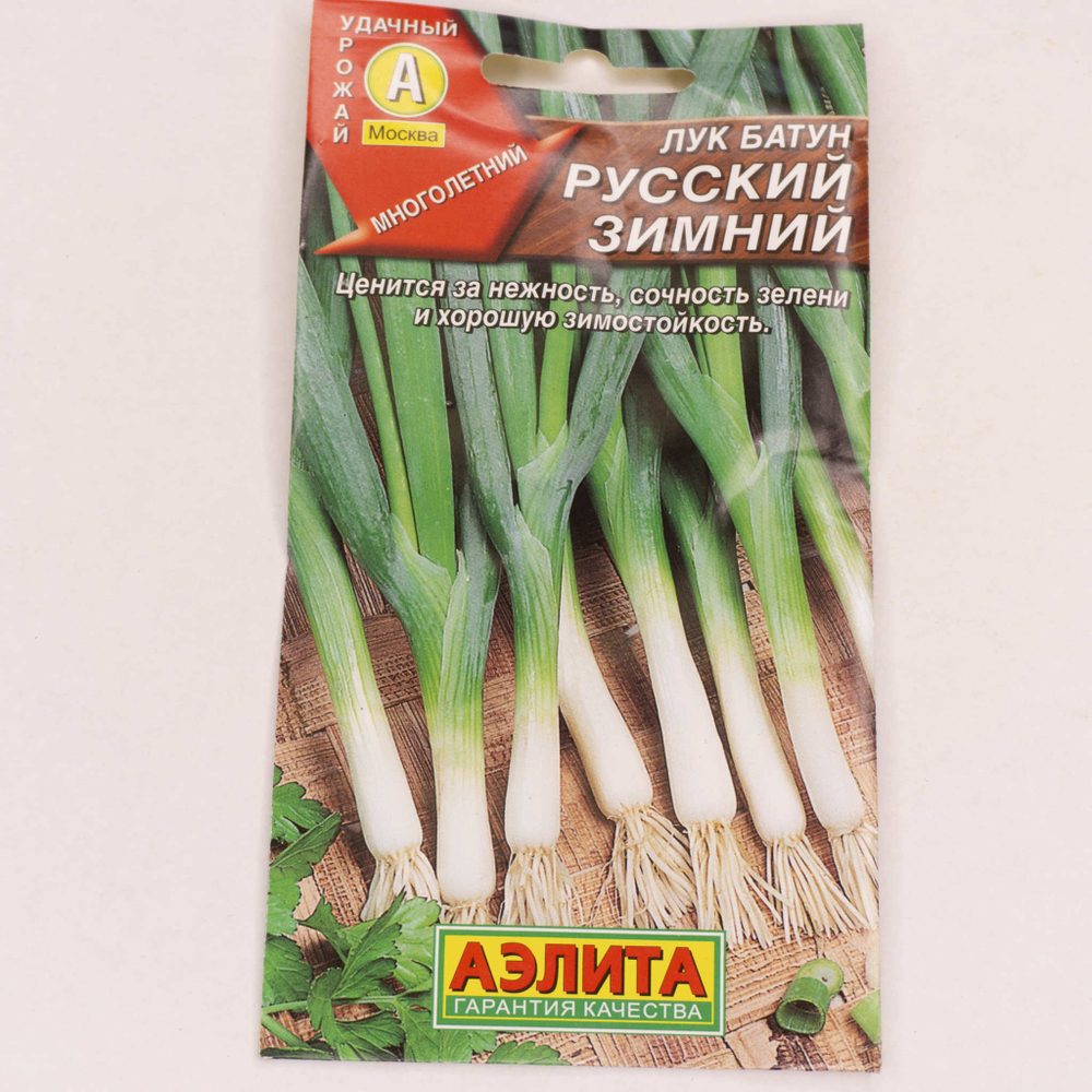 Семена Лук батун Русский зимний 1г