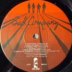 Виниловая пластинка Bad Company - Burnin' Sky LP