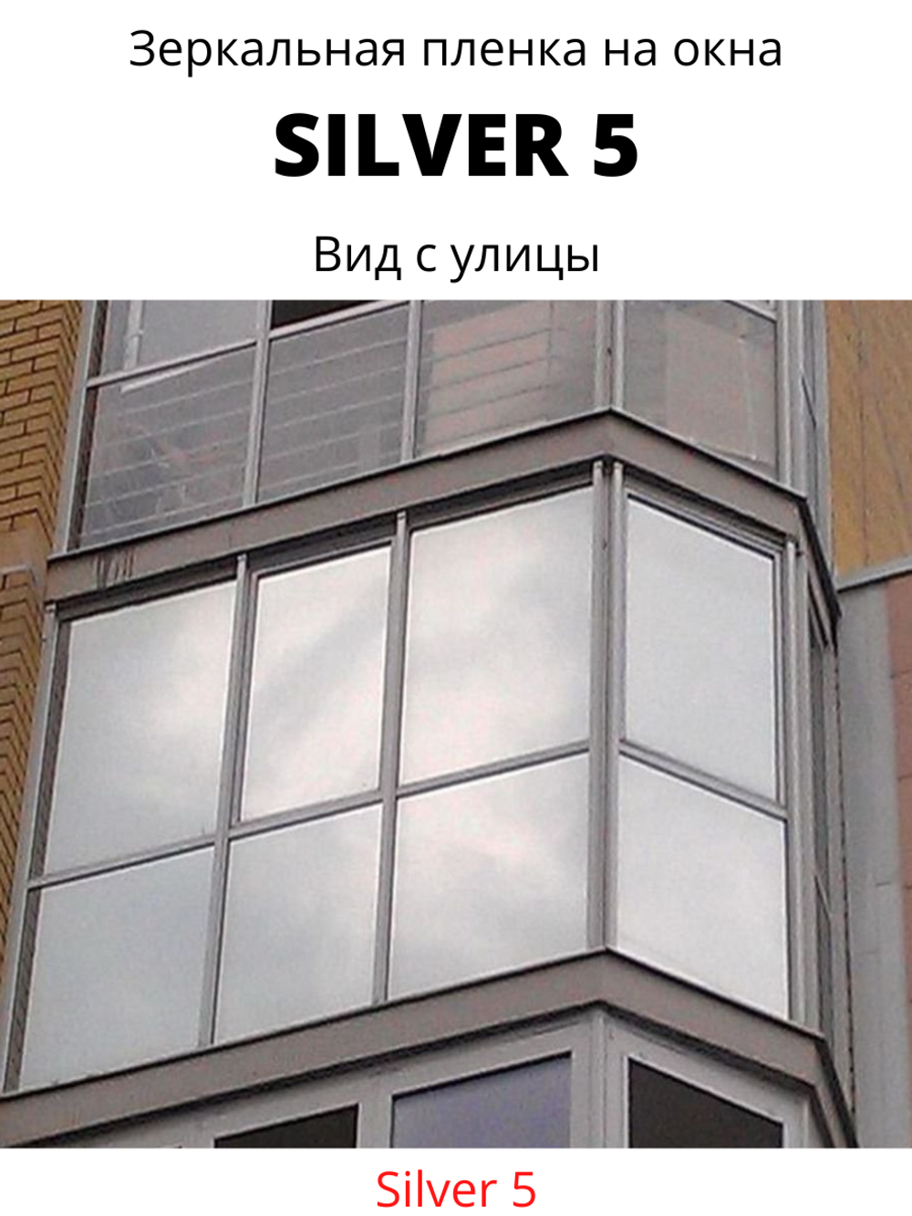 silver 5 60х150