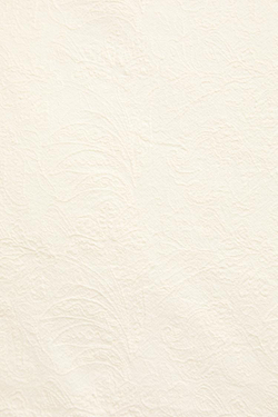 ZARA HOME ЖАККАРДОВЫЙ ЧЕХОЛ ДЛЯ ДЕКОРАТИВНОЙ ПОДУШКИ С ВЫШИВКОЙ, БЕЛЫЙ