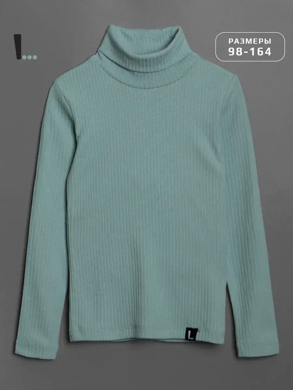 Водолазка для мальчика на осень школьная