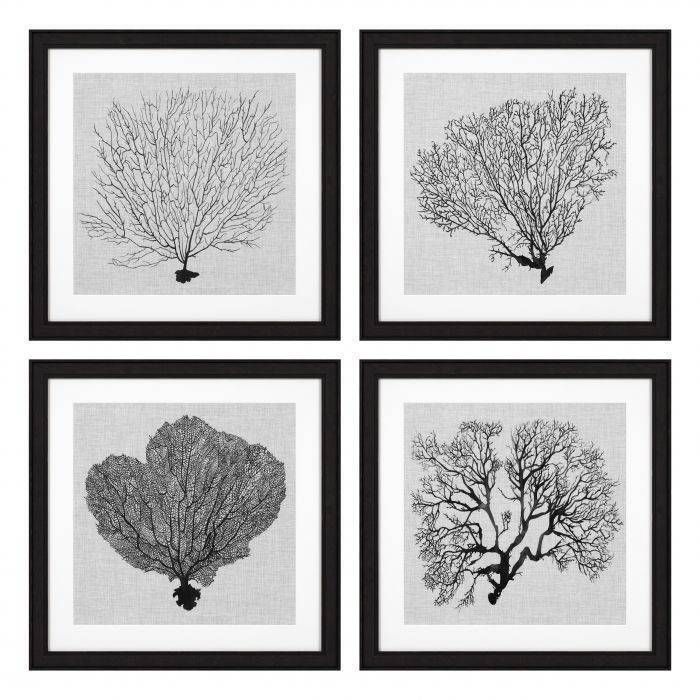 Постеры  Eichholtz Prints EC 289 Shadow Sea Fan 112752