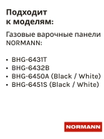 Горелка AUX1,00KW ENJ:0,72 R1/3 для варочной панели NORMANN BHG-6431T,6432B,6450A,6451S 10010021