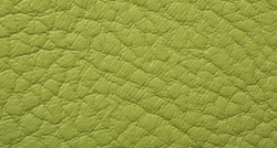 Искусственная кожа Carnaval claroverde (Карнавал клароверде)